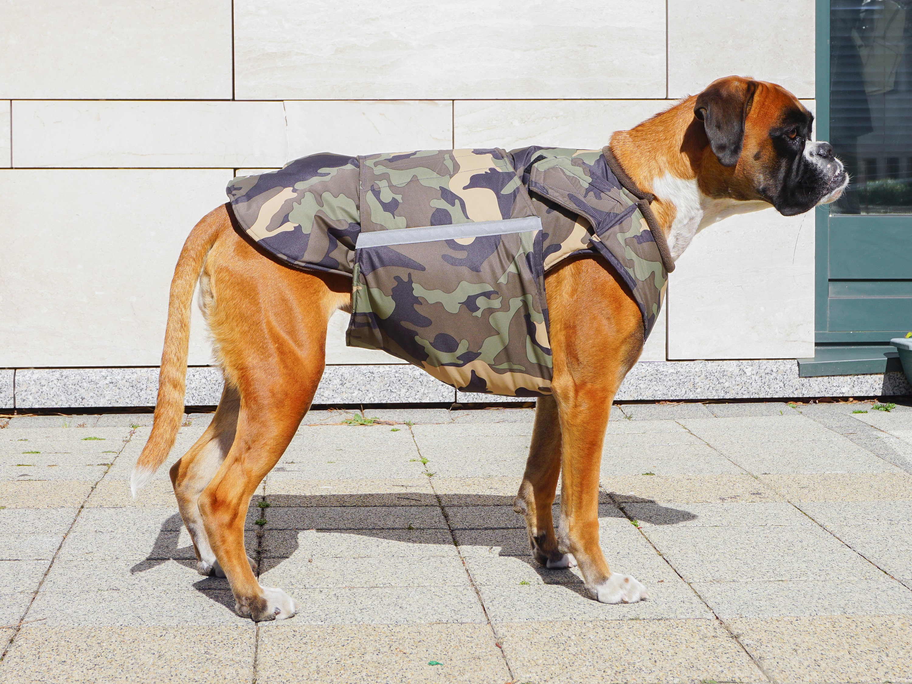 Best life jacket for boxer dogs hotsell