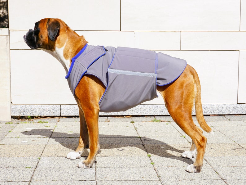 Boxer Dog Coat Winter Dog Jacket Softshell Outer With Etsy