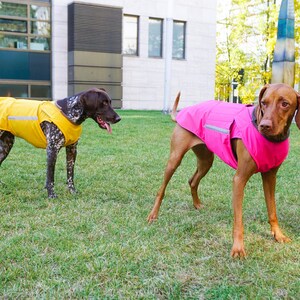 Pointer Winter Hundemantel Hundejacke mit Unterbauchschutz Maßgefertigte Hunde Regenjacke Wasserdicht / Fleece Maßgeschneidert für Ihren Hund Bild 5