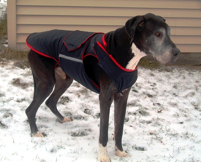 Great Dane Extra Warm Winter Dog Coat Dog Jacket With Etsy