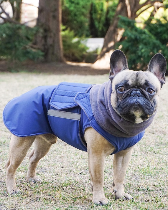 OUOBOB Winter Dog Coat,Large Dog Jacket,Waterproof Pet Jacket With Back Zipper,Pet Coat With Harness Built In,Warm Dogs Coat With Fleece Lined, Snow Jacket Clothes French Bulldog Shiba Inu,Green,L - Foto 8