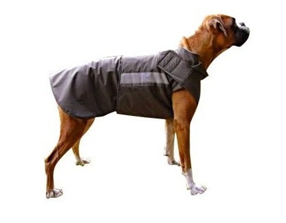 large dog coats for winter