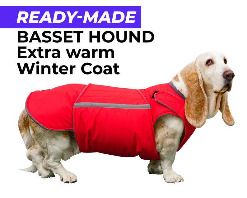 Readymade Basset Hound Extra Warm Winter Coat Basset Hound Etsy