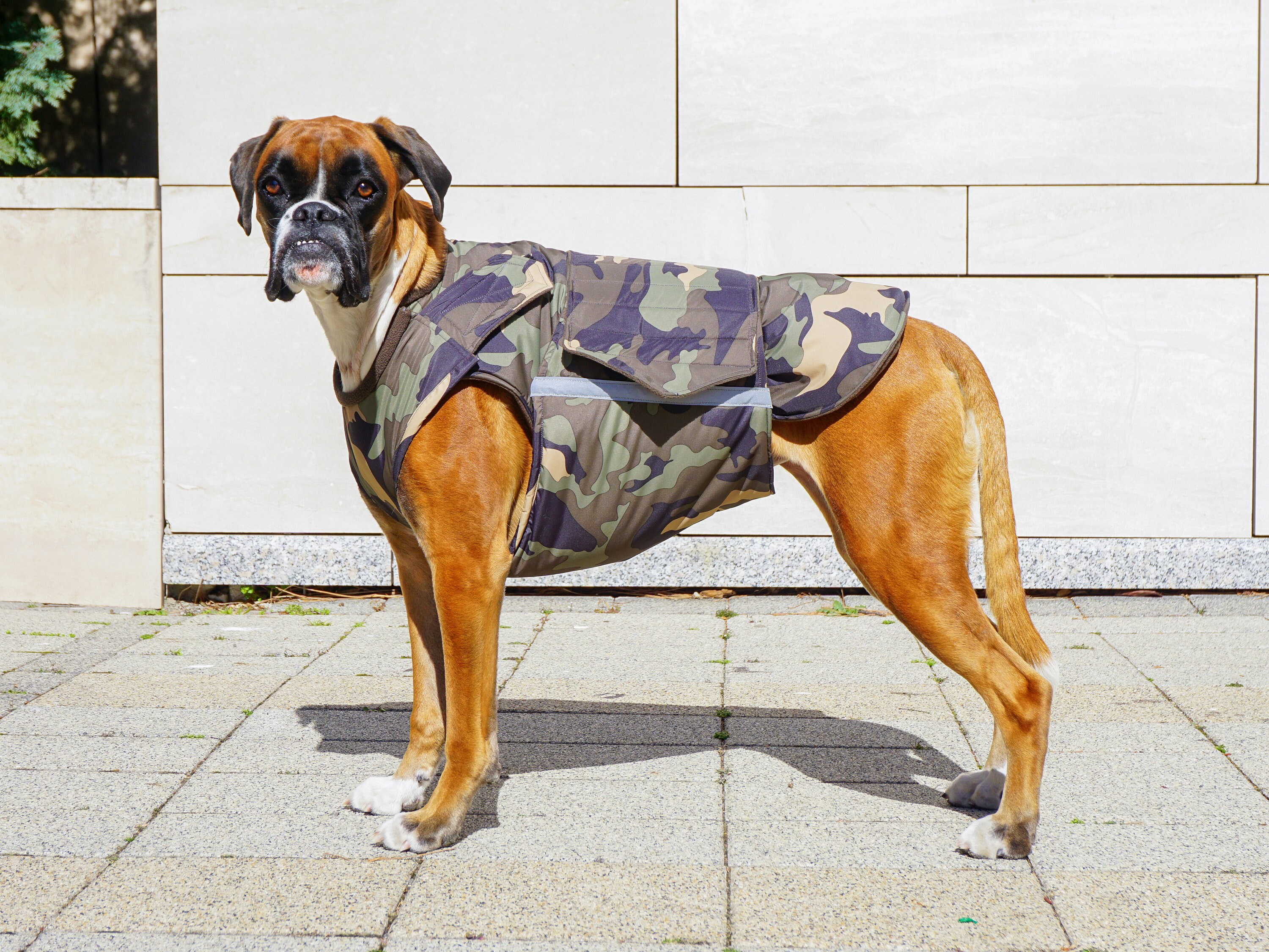 Manteau d hiver extra chaud pour chien Boxer Veste pour chien de grande taille Manteau d hiver pour chien sur mesure Impermeable Polaire Fabrique sur mesure pour votre chien Etsy France
