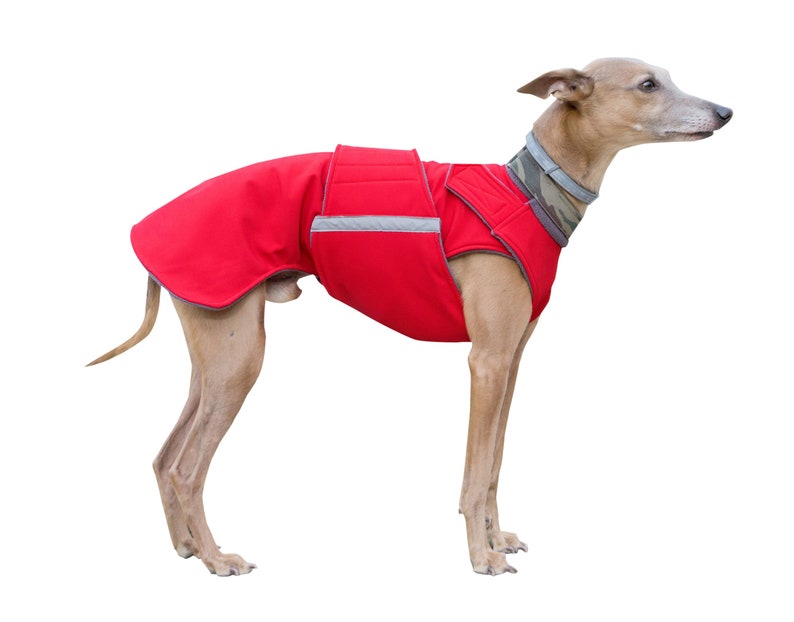 Whippet Coat Winter Dog Jacket with underbelly protection Etsy