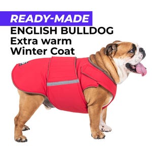 Giacca invernale extra calda per bulldog inglese pronta all'uso: impermeabile, isolante, foderata in pile