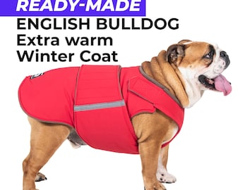 Ready-Made English Bulldog Extra Warm Winter Jacket – Waterproof, Insulated, Fleece Lined