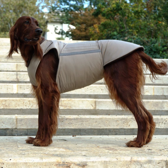 Dog rain jacket outlet