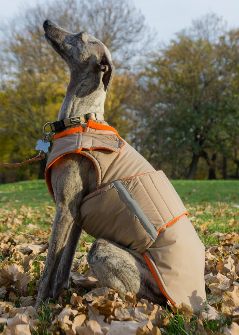 Whippet Extra Warm Winter Dog Coat Dog Jacket with Etsy