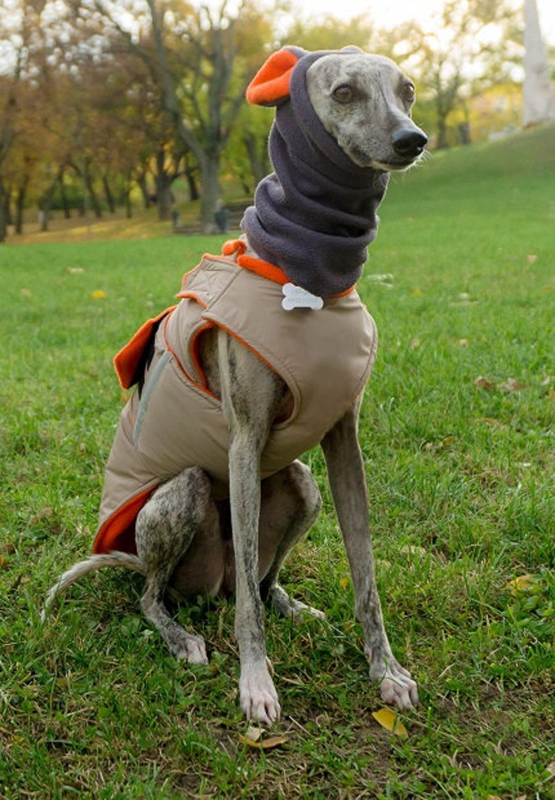 Winter Dog Snood With Ears Fleece Dog Snood Dog Hat / Hood Etsy