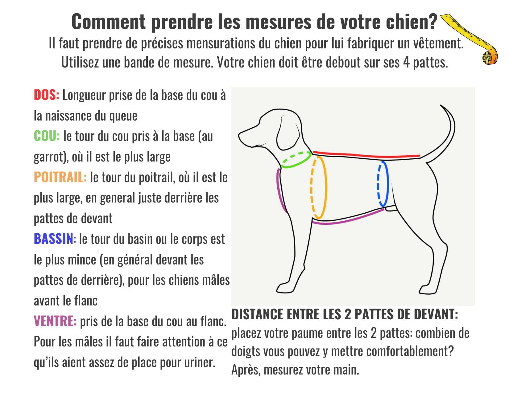 Poncho Per Cani Blaser | Impermeabile, Antivento, Taglie S–L - Caccia Shopping