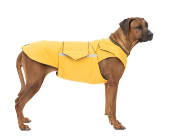 Rhodesian Ridgeback Raincoat with Belly Protection - Custom-made