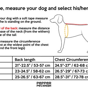 Ready-made Vizsla Winter Coat Vizsla Jacket Waterproof outer with fleece lining image 4