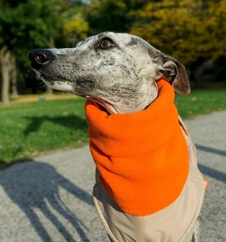 Fleece Neck Warmer Dog Turtleneck Fleece Scarf Addition Etsy