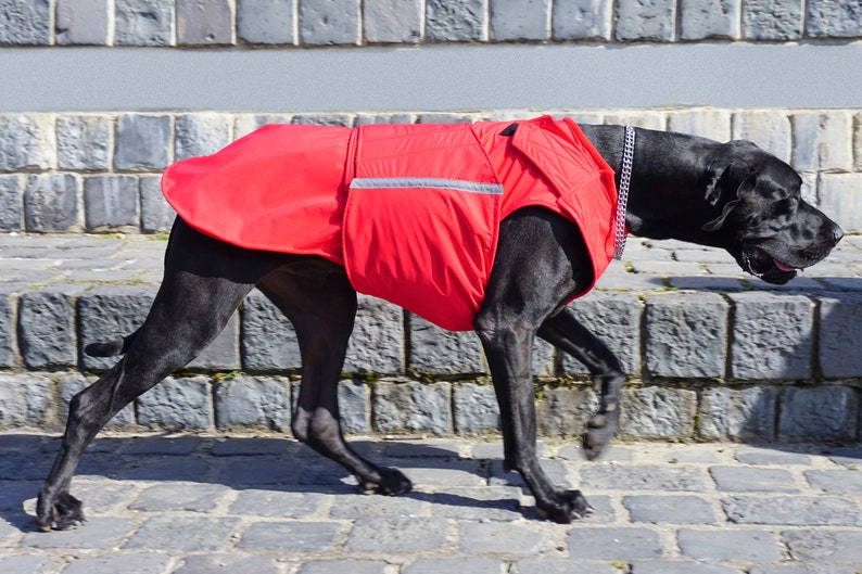 Great Dane Winter Dog Coat Dog Jacket With Underbelly Etsy