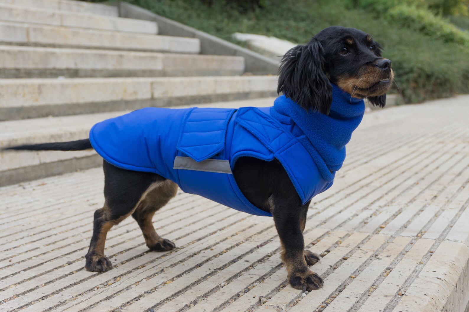 Dog Coat Winter Dog Jacket With Full Belly Cover and Neck Etsy