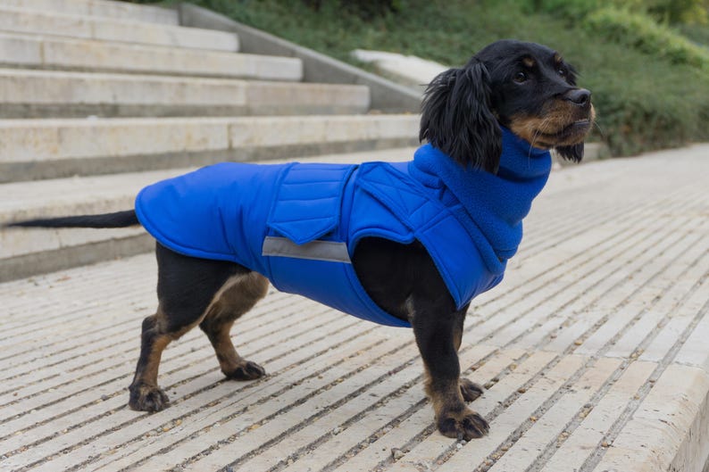 Dog Coat Winter Dog Jacket With Full Belly Cover and Neck Etsy UK