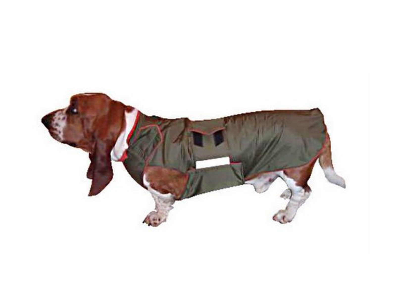 Basset Hound Dog Raincoat Dog Rain Jacket Waterproof Dog Etsy