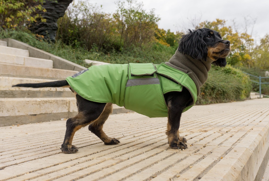 Dog Coat Winter Dog Jacket With Full Belly Cover and Neck Etsy