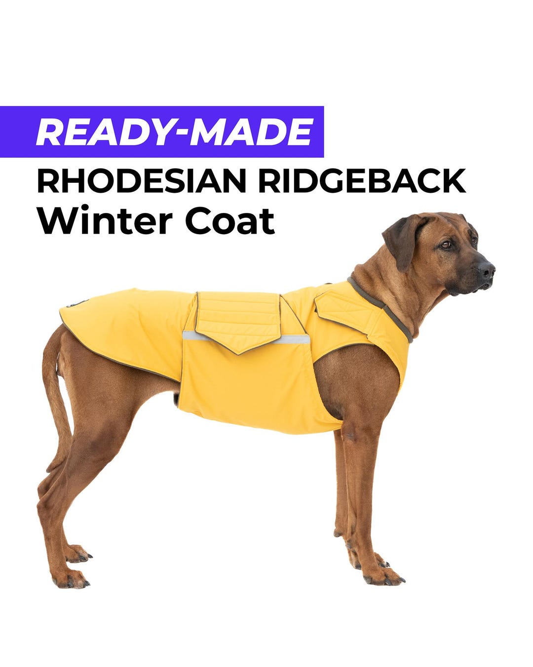 Ready-made Rhodesian Ridgeback Winter Coat - Ridgeback Jacket ...