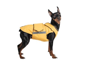 Miniature Pinscher Raincoat with belly protection - Waterproof  - Custom-fit for your dog