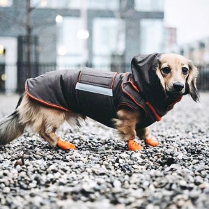 Dachshund Dog Raincoat with hood and neck warmer Brown Custom Dog Jacket Waterproof Clothes Dog Rain Coat Custom-fit for your dog image 1