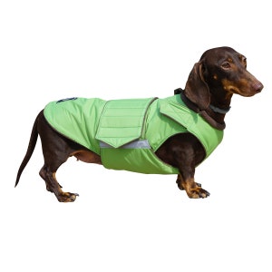 Dachshund Winter Dog Coat with underbelly protection Custom made dog clothes Waterproof / Fleece Dog Jacket MADE TO ORDER image 1