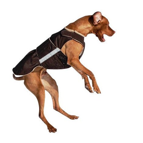 VIZSLA Dog Rain Coat Dog Raincoat Waterproof Dog Jacket Etsy
