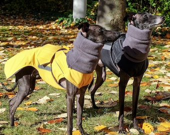 Veste De Froid Pour Les Chiens De Taille Moyenne Et De Grande Taille Lévrier Italien Whippets Hound Veste En Duvet épais - MUNDOPET