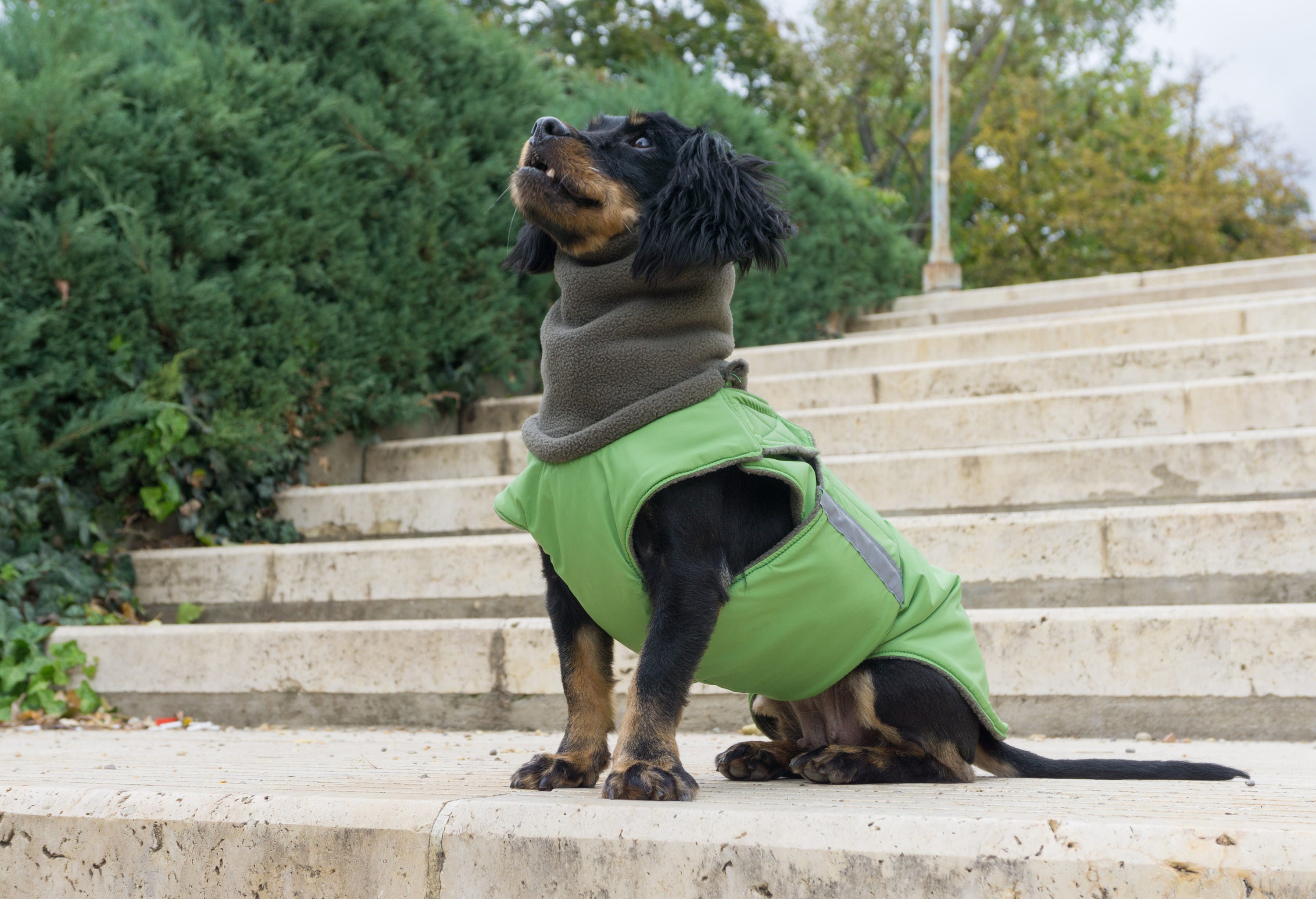 Dog Coat Winter Dog Jacket With Full Belly Cover and Neck Etsy UK