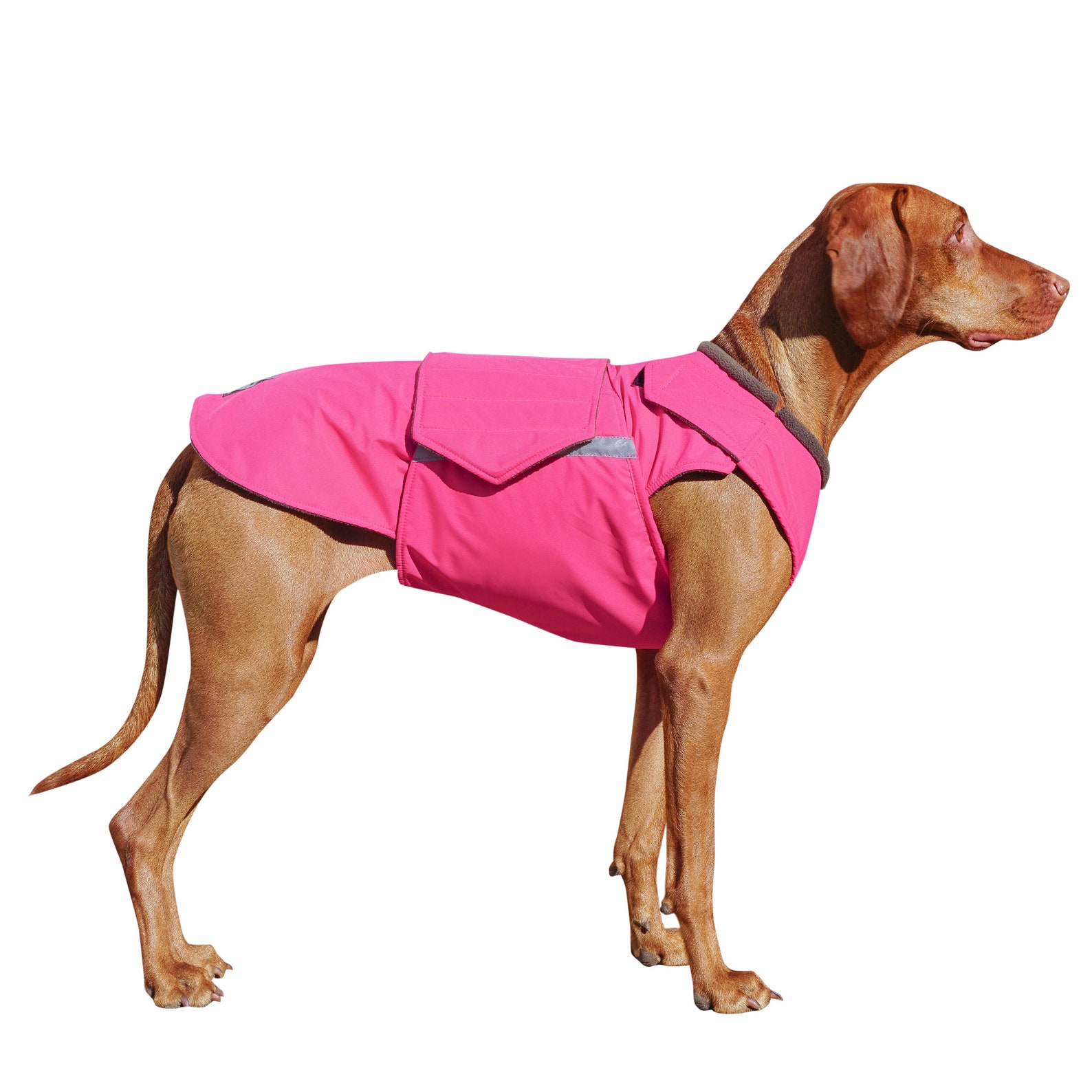 Vizsla Winter Dog Coat Custom Made Dog Raincoat Dog Jacket Etsy