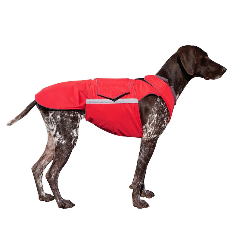 Ready-made Vizsla Winter Coat Vizsla Jacket Waterproof outer with fleece lining image 3