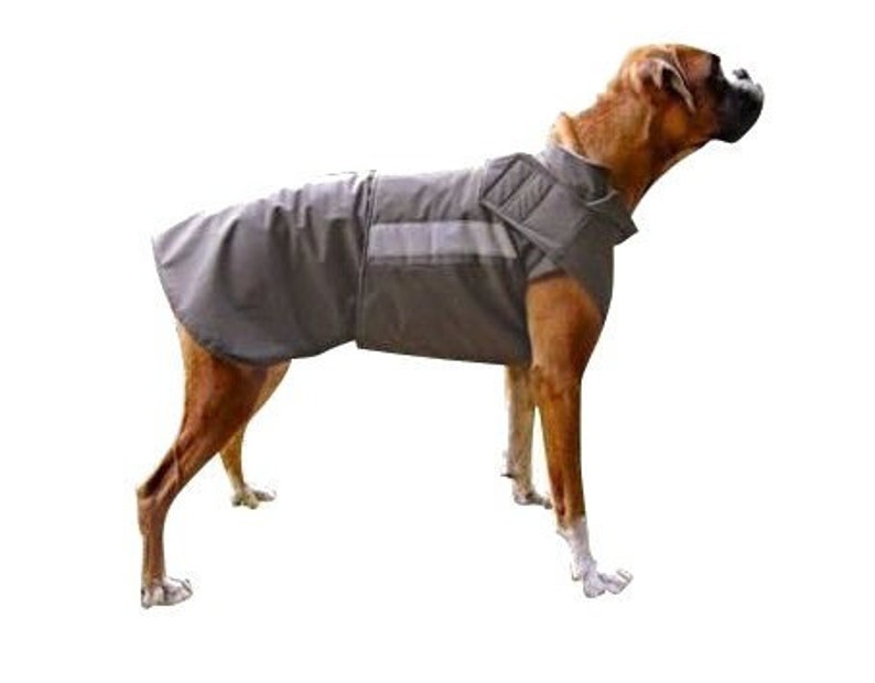 Boxer Winter Dog Coat With Underbelly Protection Dog Jacket Etsy