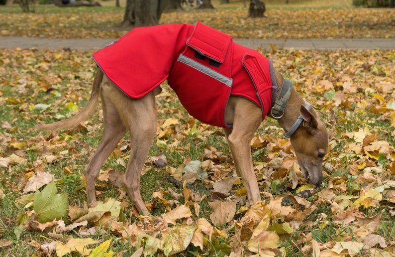 Whippet Coat Winter Dog Jacket With Underbelly Protection Etsy
