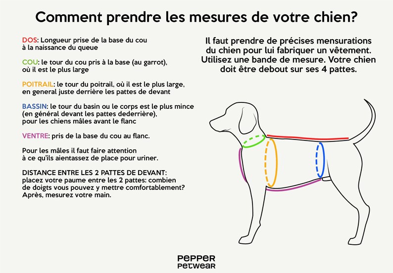 Dachshund Winter Dog Coat with underbelly protection Custom Etsy