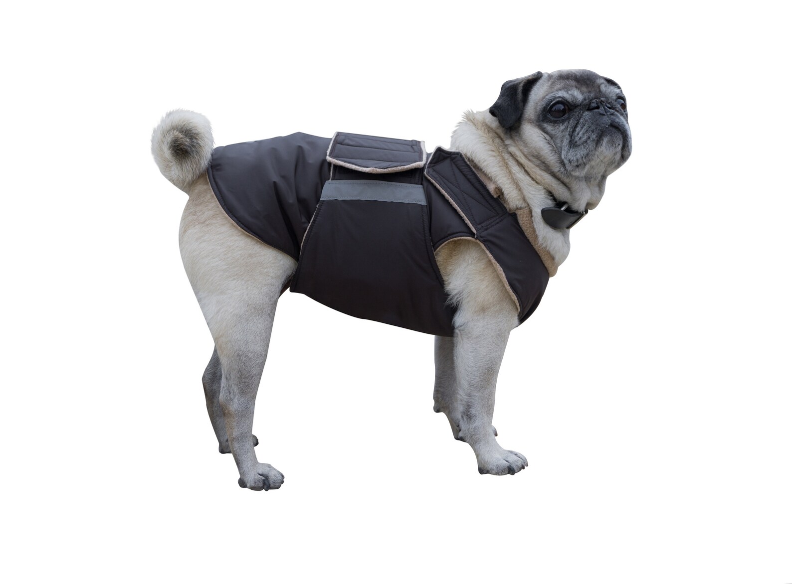 Dog Jacket for Pugs Dog Coat Extra Warm Winter Dog Coat Etsy