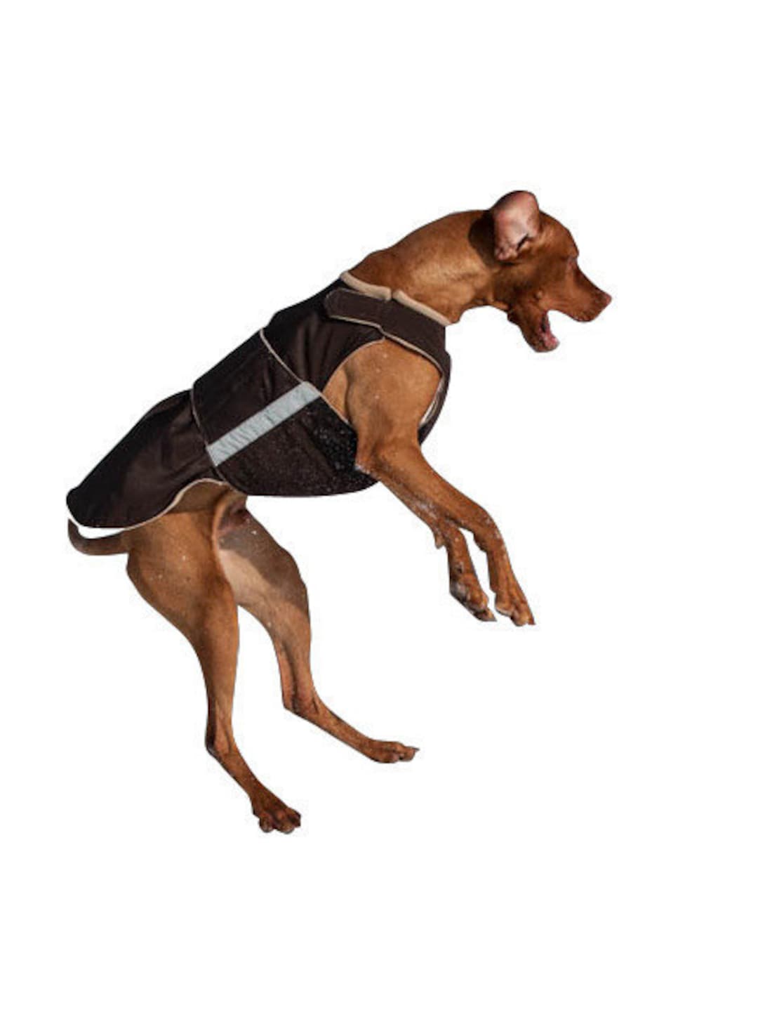 Vizsla / Pointer Dog Coat Softshell Dog Winter Jacket Fleece Dog Coat Custom Made for Your Dog