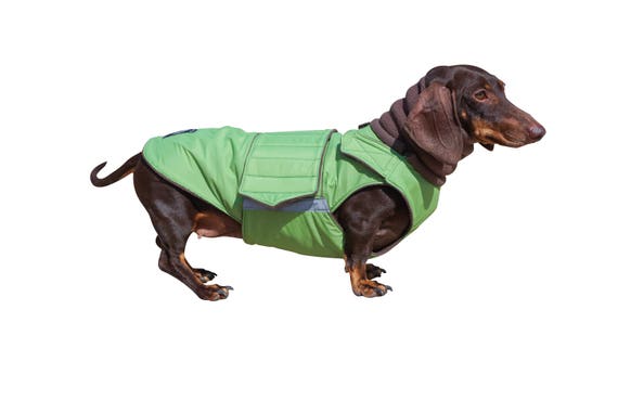 Dog Coat For Dachshunds With Full Belly Cover And Neck Warmer Uk Dog Coat For Dachshunds With Full Belly, Dachshund Winter Coat With Hood Uk