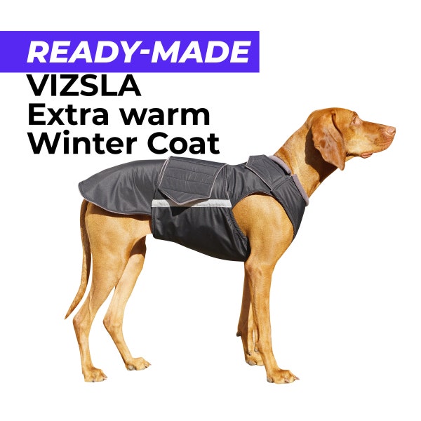 Ready-made Vizsla Extra Warm Winter Coat - Vizsla Jacket - Waterproof outer with insulation and fleece lining