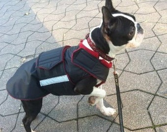 Boston Terrier Winter Coat - Dog Jacket with underbelly protection - Custom Made Dog Coat - Waterproof outer / fleece lining - MADE TO ORDER