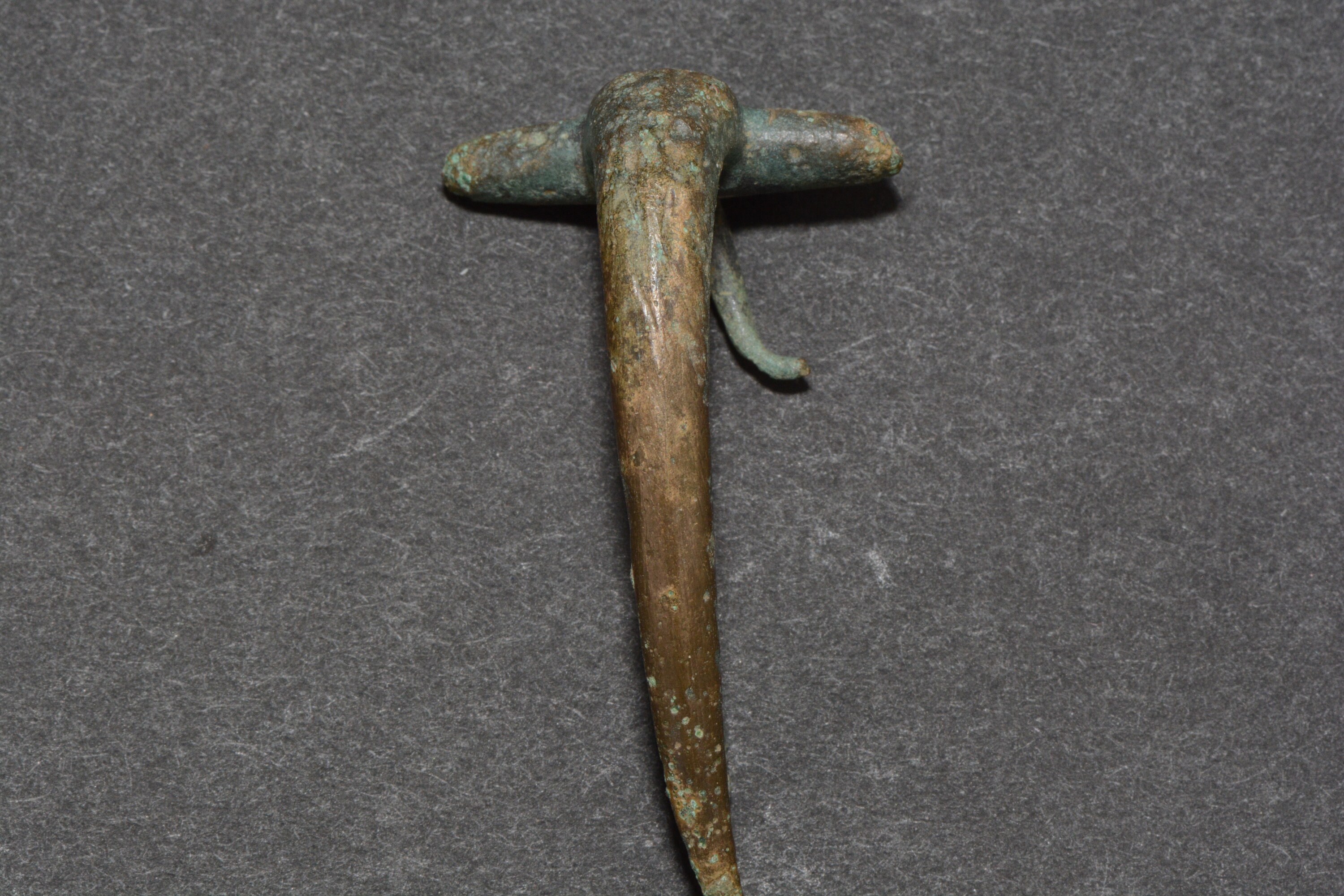 Roman dolphin brooch sale