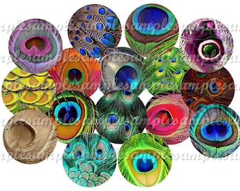 May include: A set of 164 digital images featuring peacock feathers in various colors and patterns. The images are available in five sizes: 25 mm, 20 mm, 18 mm, 14 mm, and 12 mm.