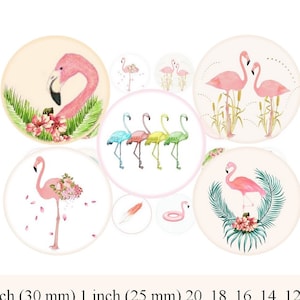 Pink Flamingos digital collage sheet circles pendant images flamingo one inch circles 1 inch rounds Flamingo circles bottlecap images