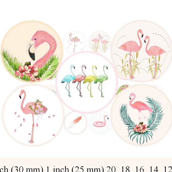 Pink Flamingos digital collage sheet circles pendant images flamingo one inch circles 1 inch rounds Flamingo circles bottlecap images