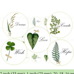 images digitales cabochon herbier vert botanique image bijoux images cabochon badge miroir image à imprimer 30 25 20 18 16 mm