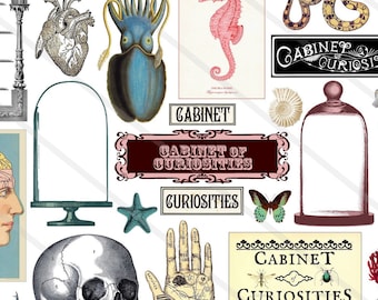 Steampunk digital collage sheet Curiosities Cabinet Digital Scrapbooking Images for Card Making Decoupage Pap Ephemera PNG Junk Journal