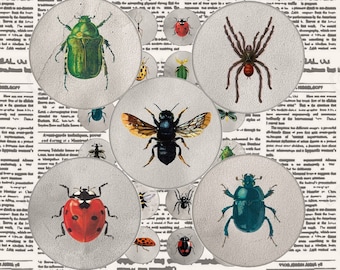 Insects digital collage sheet butterfly bug bottlecap images Insects bee Circles 1 inch circles printable download