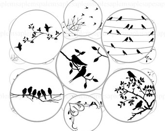 May include: Set of 10 black and white round stickers featuring various bird silhouettes on branches. The stickers are available in sizes ranging from 1.2 inches (30 mm) to 10 mm.