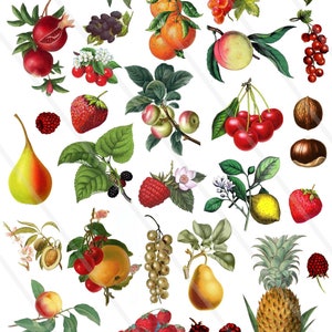 Images digitales fruits fraise cerise pomme clipart image scrapbooking images jpeg, images png, images à imprimer