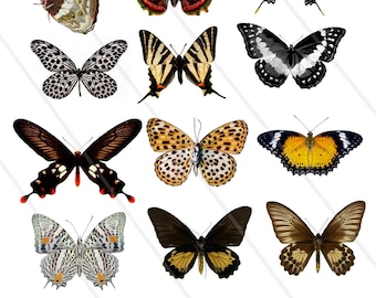 Digital Collage Sheet Butterflies wings JPEG and PNG - Instant Download butterfly Digital Scrapbook Paper butterfly butterflies vintage